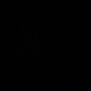 Meet your Posher, Bradley